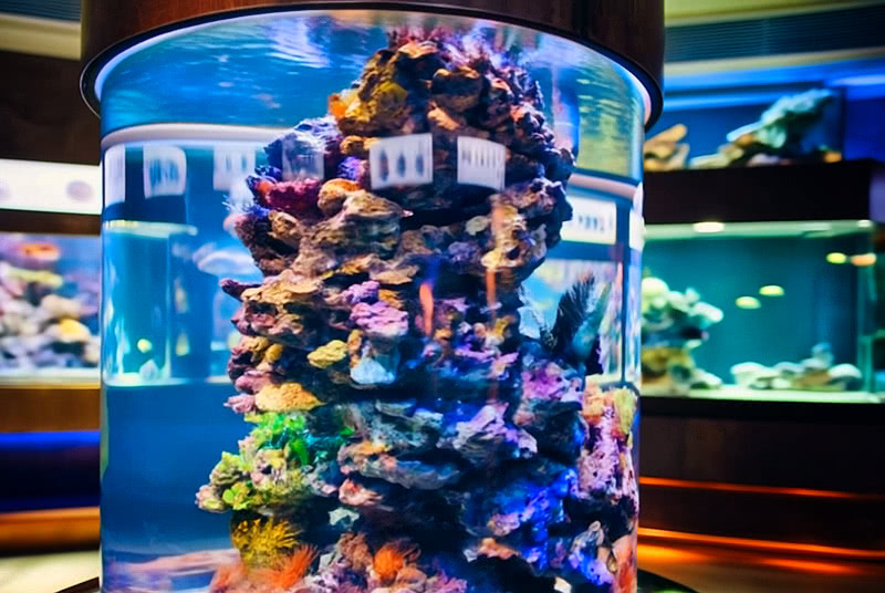 Interiors of the Gdynia Aquarium